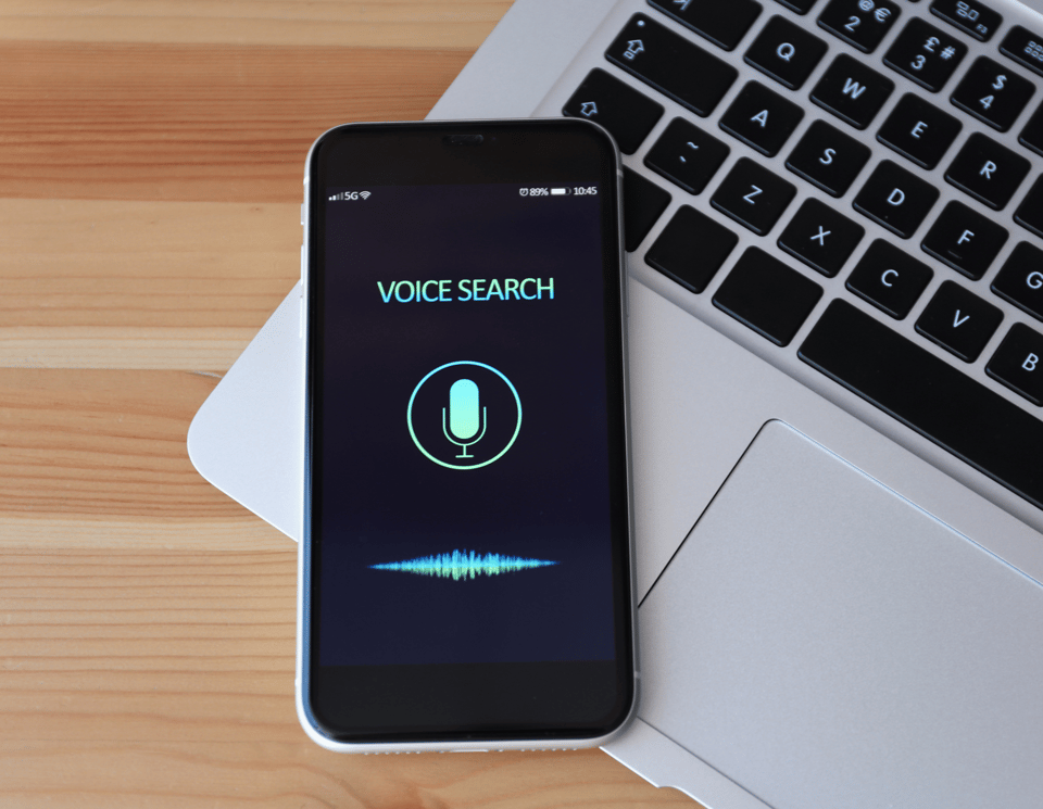 Voice Searches